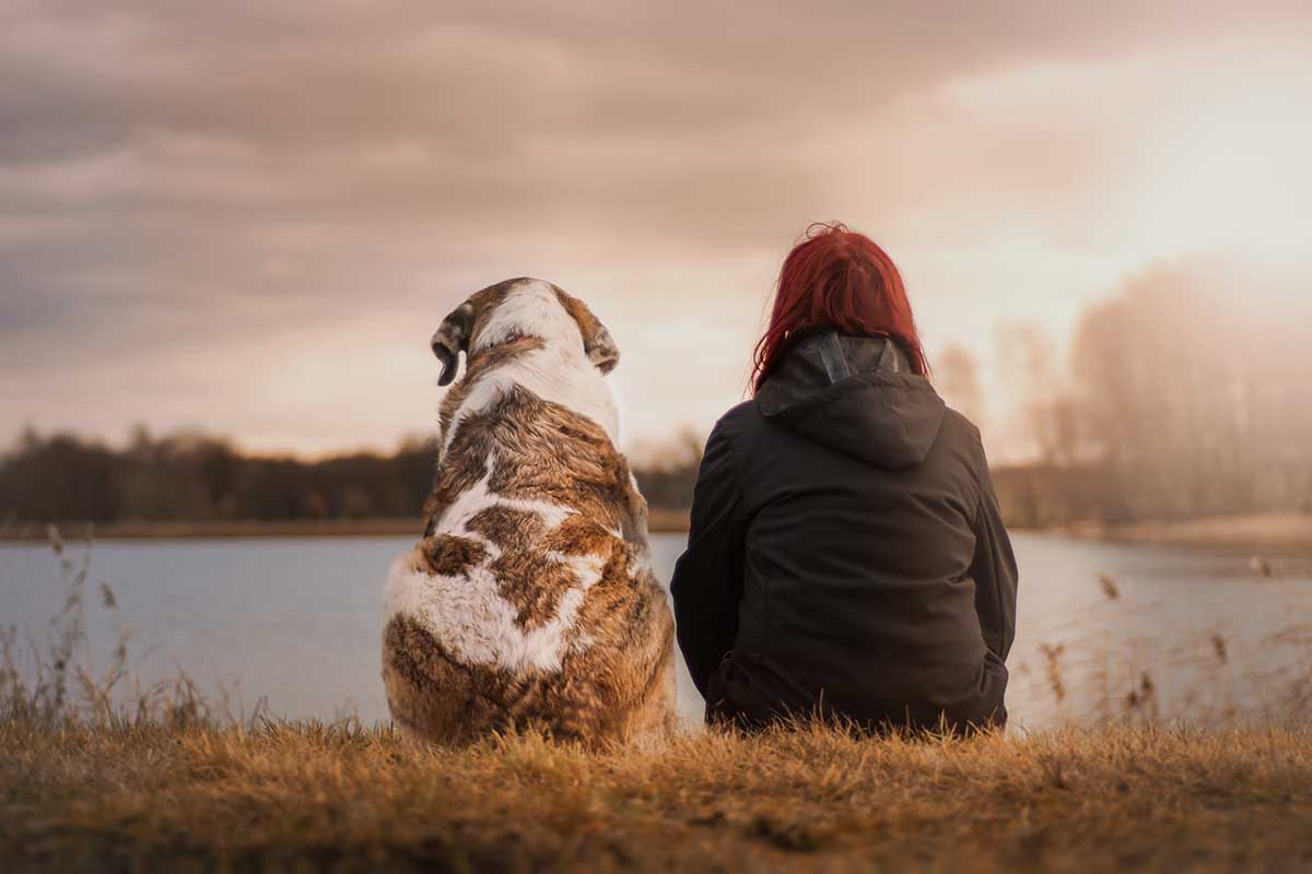 famille-accueil-chien