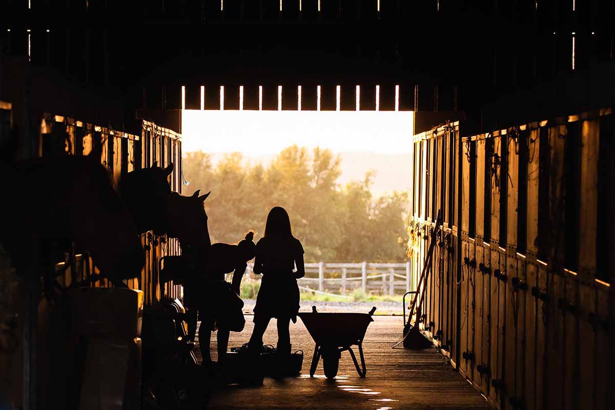 abri-chevaux-maison