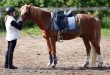 selle-equitation